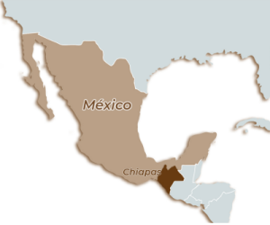 Cafe Mexico Chiapas
